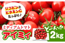 【高品質 トマト】ミディアムトマト 2kg【11月上旬から翌年6月末まで順次発送】先行受付 先行予約 野菜 やさい トマト とまと フルーツ フルーツトマト ミニトマト プチトマト ビタミン 常温 サラダ スープ リコピン 健康 美容 国産 料理 完熟 グルメ 保存 リピート ギフト 人気 高品質 好評 広島県産 江田島市/有限会社グリーンファーム沖美 [XAB002]