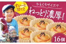 【ねっとり濃厚】ひとくちサイズ スイートポテト 16個セット 芋 サツマイモ さつま芋 バターケーキ 焼き芋 スイートポテト 大学芋 さつまいも スイーツ 詰め合わせ セット 和菓子 洋菓子 お取り寄せ グルメ 人気 おすすめ スイーツ さつまいも おやつ 個包装 贈答品 リピート ギフト 人気 高品質 好評 広島県産 江田島市/峰商事合同会社[XAD015]