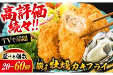 テレビで話題！広島県産 鍛え牡蠣 冷凍かきフライ 20粒×3袋 牡蠣 人気 料理 簡単 カキフライ おつまみ お弁当 お惣菜 おかず 江田島市/有限会社寺本水産 [XAE017] 牡蠣 冷凍 むき身 殻付き 殻付 殻 かき カキ 生牡蠣 広島牡蠣 オイスター カキフライ 魚介類 魚介 貝類 海鮮 広島県産 国産 産地直送 贈答 ギフト 特産品