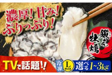 他の牡蠣とは味がちがう！広島産 大粒 牡蠣 鍛え牡蠣 むき身 Lサイズ（冷凍）計3kg 牡蠣 広島 かき むき身 料理 簡単 江田島市/有限会社寺本水産 [XAE026] 牡蠣 生食 冷凍 むき身 殻付き 殻付 殻 かき カキ 生牡蠣 広島牡蠣 オイスター カキフライ 魚介類 魚介 貝類 海鮮 広島県産 国産 産地直送 贈答 ギフト 特産品