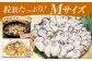 牡蠣 むき身 殻付き かき カキ 生牡蠣 広島牡蠣 オイスター カキフライ 魚介類 貝類 海鮮 広島県産 国産 産地直送