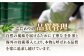オリーブオイル エキストラバージン 油 国産 広島県産 贈答 ギフト オリーブオイル