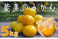 【甘くてジューシー】川西農園 みかん 5kg 【10月下旬より発送】 みかん ミカン mikan 蜜柑 果物 くだもの フルーツ 柑橘 かんきつ 小玉 濃厚 甘い 甘味 ギフト 人気 先行予約 送料無料 国産 リピート ギフト プレゼント 贈答 人気 高品質 好評 広島県産 江田島市/川西農園みかん畑 [XBC001]