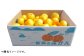  みかん ミカン mikan 蜜柑 果物 くだもの フルーツ 柑橘 かんきつ 小玉 濃厚 甘い 甘味 ギフト 人気 先行予約