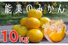 安心安全の国産！【10月下旬より発送】川西農園 みかん 10kg みかん ミカン mikan 蜜柑 果物 くだもの フルーツ 柑橘 かんきつ 小玉 濃厚 甘い 甘味 ギフト 人気 先行予約 送料無料 国産 リピート ギフト プレゼント 贈答 人気 高品質 好評 広島県産 江田島市/川西農園みかん畑 [XBC002]