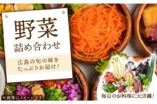 季節ごとの広島の旬の味をどっさりと！野菜詰め合わせセット (2000円分) 野菜 ランチ サラダ おうちごはん 料理 江田島市/よってみん菜 江田島 [XBF001]