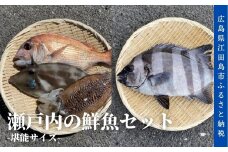 瀬戸内の鮮魚セット｜堪能サイズ [XBO002] 魚 魚介 海鮮 刺身 詰め合わせ リピート ギフト プレゼント 贈答 人気 高品質 好評 広島県産