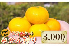 川西農園みかん畑 みかん狩り 体験チケット 3,000円分 みかん ミカン mikan 蜜柑 果物 くだもの フルーツ 柑橘 かんきつ 小玉 濃厚 甘い 甘味 ギフト 人気 先行予約 送料無料 国産 リピート ギフト プレゼント 贈答 人気 高品質 好評 広島県産 江田島市/川西農園みかん畑 [XBC004]