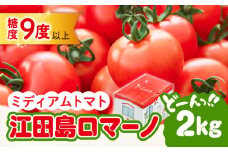 低農薬栽培！【11月上旬～翌年6月末まで順次発送】江田島ロマーノ トマト 2kg 野菜 やさい トマト とまと フルーツ 国産 産地直送 完熟 旬 甘い ミニトマト フルーツトマト 家庭菜園 栽培 レシピ 健康 美容 リコピン カロテン 栄養 夏野菜 冬野菜 リピート ギフト 人気 高品質 好評 広島県産 トマトジュース 江田島市/有限会社グリーンファーム沖美[XAB005]