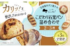 【全3回定期便】石窯パン 詰め合わせ(2〜3種)  定期便 パン ぱん ブレッド ベーカリー 冷凍 石窯 石窯パン 菓子パン 惣菜パン 国産 小麦 国産小麦 朝食 ルヴァン 天然酵母 ハードパン ハード系 こだわり 天然 素材 風味 豊か 焼きたて 手作り 香り 贈り物 ギフト バラエティ セット 詰め合わせ リピート 人気 広島県産 江田島市/しまのぱん souda！ [XAQ004]