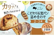 【全12回定期便】石窯パン 詰め合わせ (2〜3種)  定期便 パン ぱん ブレッド ベーカリー 冷凍 石窯 石窯パン 菓子パン 惣菜パン 国産 小麦 国産小麦 朝食 ルヴァン 天然酵母 ハードパン ハード系 こだわり 天然 素材 風味 豊か 焼きたて 手作り 香り 贈り物 ギフト バラエティ セット 詰め合わせ リピート 人気 広島県産 江田島市/しまのぱん souda！ [XAQ006]