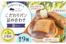 【全3回定期便】石窯パン 詰め合わせ Bセット (計9個)  定期便 パン ぱん ブレッド ベーカリー 冷凍 石窯 石窯パン 菓子パン 惣菜パン 国産 小麦 国産小麦 朝食 ルヴァン 天然酵母 ハードパン ハード系 こだわり 天然 素材 風味 豊か 焼きたて 手作り 香り 贈り物 ギフト セット 詰め合わせ リピート 人気 広島県産 江田島市/しまのぱん souda！ [XAQ010]