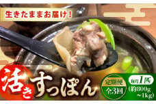 【全3回定期便】【生きたまま届く最高級食材！安心安全な国産！ 江田島育ちのすっぽん【活き】 すっぽん すっぽん鍋 スッポン コラーゲン セット 珍味 海鮮 魚介類 冷蔵 鍋 なべ 唐揚げ スープ 料理 簡単 和食 美容 健康 食材 高級 天然 グルメ リピート ギフト 人気 高品質 好評 広島県産 江田島市/平井興産株式会社[XAC007]