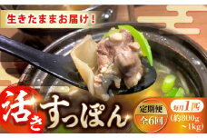 【全6回定期便】生きたまま届く最高級食材！安心安全な国産！ 江田島育ちのすっぽん【活き】 すっぽん すっぽん鍋 スッポン コラーゲン セット 珍味 海鮮 魚介類 冷蔵 鍋 なべ 唐揚げ スープ 料理 簡単 和食 美容 健康 食材 高級 天然 グルメ リピート ギフト 人気 高品質 好評 広島県産 江田島市/平井興産株式会社[XAC011]