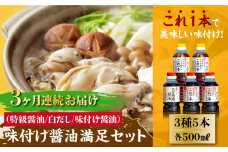 【全3回定期便】【これ1本で美味しい味付】味付け醤油の満足セット（特級醤油／白だし）料理 簡単 うどん 鍋 醤油 しょう油 しょうゆ お醤油 セット 詰め合わせ 調味料 大豆 発酵食品 刺身 煮物 だし だし醤油 出汁醤油 出汁 濃口 濃い口 こいくち 安心 安全 手作り コク 旨味 国産 料理 グルメ 保存 リピート ギフト 人気 高品質 好評 広島県産 江田島市/濱口醤油[XAA011]