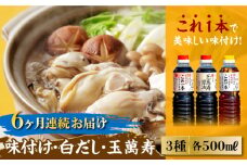 【全6回定期便】【これ1本で美味しい味付】 味付け/白だし/玉萬寿 各500mL 醤油 料理 簡単 うどん 鍋 醤油 しょう油 しょうゆ お醤油 セット 詰め合わせ 調味料 大豆 発酵食品 刺身 煮物 だし だし醤油 出汁醤油 出汁 濃口 濃い口 こいくち 安心 安全 手作り コク 旨味 国産 料理 グルメ 保存 リピート ギフト 人気 高品質 好評 広島県産 江田島市/濱口醤油[XAA015]