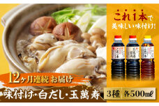 【全12回定期便】【これ1本で美味しい味付】 味付け/白だし/玉萬寿 各500mL 醤油 簡単 うどん 鍋 醤油 しょう油 しょうゆ お醤油 セット 詰め合わせ 調味料 大豆 発酵食品 刺身 煮物 だし だし醤油 出汁醤油 出汁 濃口 濃い口 こいくち 安心 安全 手作り コク 旨味 国産 料理 グルメ 保存 リピート ギフト 人気 高品質 好評 広島県産 江田島市/濱口醤油[XAA016]