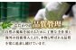 オリーブオイル エキストラバージン 油 国産 広島県産 贈答 ギフト オリーブオイル