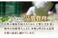 オリーブオイル エキストラバージン 油 国産 広島県産 贈答 ギフト オリーブオイル