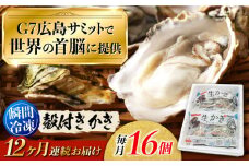 広島G7で提供された牡蠣！【全12回定期便】やながわ自慢！ 殻付き 牡蠣 16個(瞬間冷凍) 牡蠣 かき カキ 殻つき 瀬戸内 広島 ＜マルサ・やながわ水産有限会社＞江田島市[XBL014]牡蠣 生食 むき身 殻付き 殻付 殻 かき カキ 生牡蠣 広島牡蠣 オイスター カキフライ 魚介類 魚介 貝類 海鮮 広島県産 国産 産地直送 贈答 ギフト 特産品