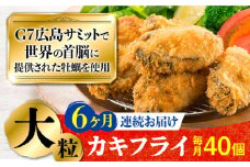 広島G7で提供された牡蠣！【全6回定期便】【広島県産】牡蠣屋さんが作ったこだわりの大粒 カキフライ 40個（瞬間冷凍） 牡蠣 かき カキ 料理 簡単 おつまみ お弁当 お惣菜 おかず ＜マルサ・やながわ水産有限会社＞江田島市[XBL019]牡蠣 生食 むき身 殻付き 殻付 殻 かき カキ 生牡蠣 広島牡蠣 オイスター カキフライ 魚介類 魚介 貝類 海鮮 広島県産 国産 産地直送 贈答
