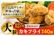 広島G7で提供された牡蠣！【全12回定期便】【広島県産】牡蠣屋さんが作ったこだわりの大粒 カキフライ 40個（瞬間冷凍） 牡蠣 かき カキ 料理 簡単＜マルサ・やながわ水産有限会社＞江田島市[XBL020]牡蠣 生食 むき身 殻付き 殻付 殻 かき カキ 生牡蠣 広島牡蠣 オイスター カキフライ 魚介類 魚介 貝類 海鮮 広島県産 国産 産地直送 贈答 ギフト 特産品