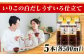 いりこの白だし これ一本 うすいろ仕立て 500mL×5本 江田島