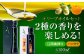 オリーブオイル エキストラバージン 油 国産 広島県産 贈答 ギフト オリーブオイル