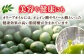 オリーブオイル エキストラバージン 油 国産 広島県産 贈答 ギフト オリーブオイル