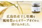 オリーブオイル エキストラバージン 油 国産 広島県産 贈答 ギフト オリーブオイル
