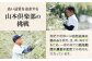 オリーブオイル エキストラバージン 油 国産 広島県産 贈答 ギフト オリーブオイル