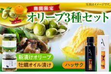 【10月から順次発送】【期間限定】ハッサクオイル オリーブオイル・新漬けオリーブ・牡蠣のオリーブオイル漬けセット かき カキ オリーブオイル 調味料 食用油 エキストラバージン エクストラバージン おりーぶおいる おいる オリーブ油 油 ヘルシー 健康 国産 広島県産 贈答 ギフト オリーブオイル ギフト プレゼント 贈答 人気 高品質 好評 広島県産 江田島市/山本倶楽部株式会社[XAJ079]