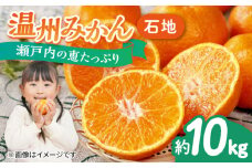 プロが見極めた食べ頃だけを厳選！温州みかん（石地 中生） 果物 フルーツ ふるーつ みかん 蜜柑 柑橘 冬 スムージー ヨーグルト オレンジ フルーツ ミカン ギフト 贈り物 ビタミン 美容 健康 お取り寄せ ギフト 果物 蜜柑 柑橘 ミカン ギフト 贈り物 お取り寄せ ギフト リピート ギフト プレゼント 贈答 人気 高品質 好評 広島県産 江田島市/小原農園[XCE007]