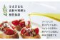 オリーブオイル エキストラバージン 油 国産 広島県産 贈答 ギフト オリーブオイル