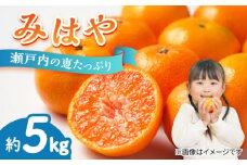 【瀬戸内の恵たっぷり】柑橘 みはや 5kg 果物 フルーツ ふるーつ みかん 蜜柑 柑橘 冬 スムージー ヨーグルト オレンジ フルーツ ミカン ギフト 贈り物 ビタミン 美容 健康 お取り寄せ ギフト 果物 蜜柑 柑橘 ミカン ギフト 贈り物 お取り寄せ ギフト リピート ギフト プレゼント 贈答 人気 高品質 好評 広島県産 江田島市/小原農園 [XCE005]