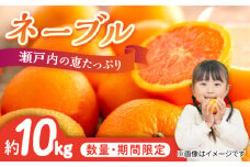 【瀬戸内の恵たっぷり】ネーブル 10kg 柑橘 果物 フルーツ ふるーつ みかん 蜜柑 柑橘 冬 スムージー ヨーグルト オレンジ フルーツ ミカン ギフト 贈り物 ビタミン 美容 健康 お取り寄せ ギフト 果物 蜜柑 柑橘 ミカン ギフト 贈り物 お取り寄せ ギフト リピート ギフト プレゼント 贈答 人気 高品質 好評 広島県産 江田島市/小原農園 [XCE008]