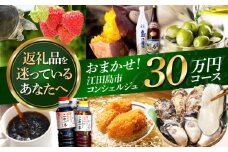 【江田島市コンシェルジュ】返礼品おまかせ！寄附額30万円コース ギフト カタログ あとから カタログ カタログギフト 牡蠣 カキ かき オリーブオイル 柑橘 カレー フルーツ さつまいも すっぽん スイーツ ケーキ 海鮮 カレー ギフト 駆け込み寄附 駆け込み寄付 [XZZ002]