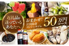 【江田島市コンシェルジュ】返礼品おまかせ！寄附額50万円コース ギフト カタログ あとから カタログ カタログギフト 牡蠣 カキ かき オリーブオイル 柑橘 カレー フルーツ さつまいも すっぽん スイーツ ケーキ 海鮮 カレー ギフト 駆け込み寄附 駆け込み寄付 [XZZ003]