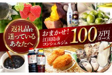 【江田島市コンシェルジュ】返礼品おまかせ！寄附額100万円コース ギフト カタログ あとから カタログ カタログギフト 牡蠣 カキ かき オリーブオイル 柑橘 カレー フルーツ さつまいも すっぽん スイーツ ケーキ 海鮮 カレー ギフト 駆け込み寄附 駆け込み寄付 [XZZ004]