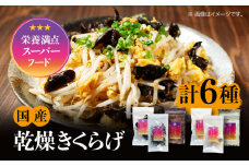 【栄養満点のスーパーフード】りんりん きくらげ りんりんセット 計6袋 きくらげ キクラゲ 木耳 きのこ キノコ 食品 食物繊維 野菜 やさい ビタミンD 乾燥 炒め物 ラーメン 便利 密封 安心 安全 美容 健康 腸活 ギフト 国産 広島県産 人気 江田島市/株式会社凛 [XCB001]