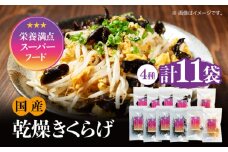 【栄養満点のスーパーフード！りんりんきくらげ】国産 木耳 美容 健康 腸活 ぷりこりセット 計11袋 きくらげ キクラゲ 木耳 きのこ キノコ 食品 食物繊維 野菜 やさい ビタミンD 乾燥 炒め物 ラーメン 便利 密封 安心 安全 美容 健康 腸活 ギフト 国産 広島県産 人気 江田島市/株式会社凛[XCB002]