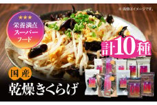 【栄養満点のスーパーフード！りんりんきくらげ】国産 木耳 美容 健康 腸活 よくばりセット 計10袋 きくらげ キクラゲ 木耳 きのこ キノコ 食品 食物繊維 野菜 やさい ビタミンD 乾燥 炒め物 ラーメン 便利 密封 安心 安全 美容 健康 腸活 ギフト 国産 広島県産 人気 江田島市/株式会社凛[XCB003]