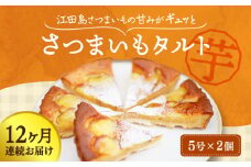 【全12回定期便】【さつまいもの甘みがぎゅっと詰まったタルト】てくてくのさつまいもたると ホール5号× 2個セット 芋 さつまいも サツマイモ さつま芋 スイーツ デザート タルト おやつ 焼き菓子 甘い 国産 お取り寄せ 芋スイーツ ケーキ 洋菓子 手作り レシピ 簡単 リピート ギフト プレゼント 贈答 人気 高品質 好評 広島県産 江田島市/峰商事合同会社 [XAD072]