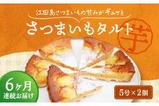 【全6回定期便】【さつまいもの甘みがぎゅっと詰まったタルト】てくてくのさつまいもたると ホール5号× 2個セット 芋 さつまいも サツマイモ さつま芋 スイーツ デザート タルト おやつ 焼き菓子 甘い 国産 お取り寄せ 芋スイーツ ケーキ 洋菓子 手作り レシピ 簡単 リピート ギフト プレゼント 贈答 人気 高品質 好評 広島県産 合同会社＞江田島市 [XAD071]