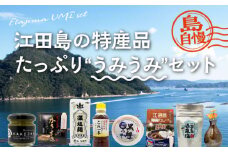 【江田島自慢の特産品】江田島の恵みたっぷり うみうみ セット 牡蠣 カレー素麺 調味料 味噌みそ 焼き物 瀬戸内海 牡蠣 かき カキ オリーブオイル うどん 麺 味噌 醤油 調味料 特産品 カレー レトルト シーフード ギフト 人気 高品質 好評 広島県産 江田島市/江田島市観光協会 [XAI002]