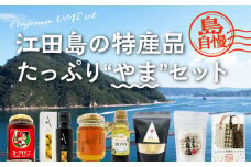 【江田島自慢の特産品】江田島の恵みたっぷり やま セット いちご はちみつ ドレッシング さつまいも 瀬戸内海 牡蠣 かき カキ オリーブオイル うどん 麺 味噌 醤油 調味料 特産品 カレー レトルト シーフード ギフト 人気 高品質 好評 広島県産 江田島市/江田島市観光協会 [XAI003]