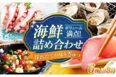 【鮮度抜群】海鮮 6種 詰め合わせ「梅」 海鮮 魚介類 冷凍 水産加工品 海藻 鮮魚 さかな 刺身 詰め合わせ セット 小分け 海鮮丼 加工品 惣菜 刺身 真空パック 小分け タコ たこ 蛸 はまち ハマチ 魬 しらす シラス 料理 和食 時短 便利 ギフト 広島県産 人気 送料無料 江田島市/七宝丸 [XBY001]
