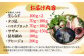 海鮮 魚介類 冷凍 水産加工品 海藻 鮮魚 さかな 刺身 詰め合わせ セット 小分け 海鮮丼 加工品 惣菜 刺身 真空パック