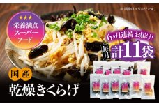 【全6回定期便】【栄養満点のスーパーフード！りんりんきくらげ】国産 乾燥 木耳 美容 健康 ぷりこりセット 計11袋 きくらげ キクラゲ 木耳 きのこ キノコ 食品 食物繊維 野菜 やさい ビタミンD 乾燥 炒め物 ラーメン 便利 密封 安心 安全 美容 健康 腸活 ギフト 国産 広島県産 人気 江田島市/株式会社凛[XCB010]