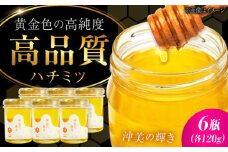 江田島産100％ はちみつ 『沖美の輝き』120g×6本セット ハチミツ 蜂蜜 国産 広島 江田島市/はつはな果蜂園 [XCD003] ハチミツ 国産蜂蜜 国産はちみつ 国産純粋はちみつ 蜜 蜂蜜 はちみつ ハニー honey 人気ハチミツ 日本蜜蜂 純粋はちみつ 常温 保存 備蓄 防災食 非常食 保存食 産地直送 国産